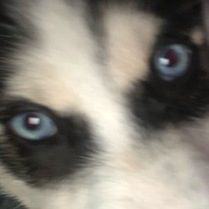 Meet your Posher, Marcelo